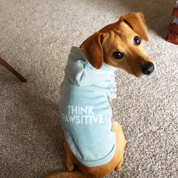 Meet your Posher, Tiffany - Picture 2 of 8